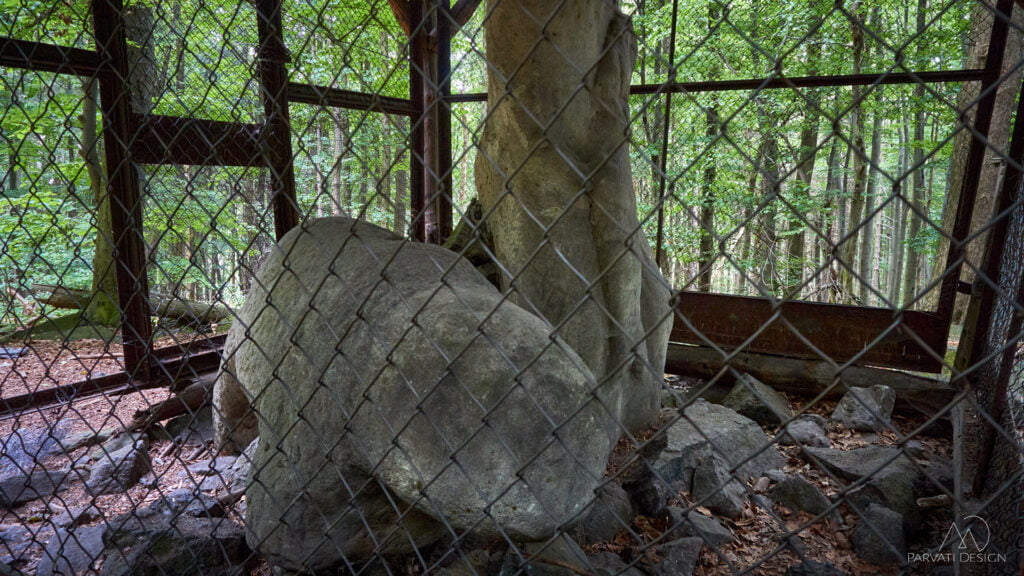 Panna z rybą i Niedźwiedź